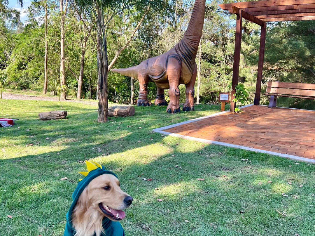 Parque TMC Kleber: Vale dos Dinossauros景点图片