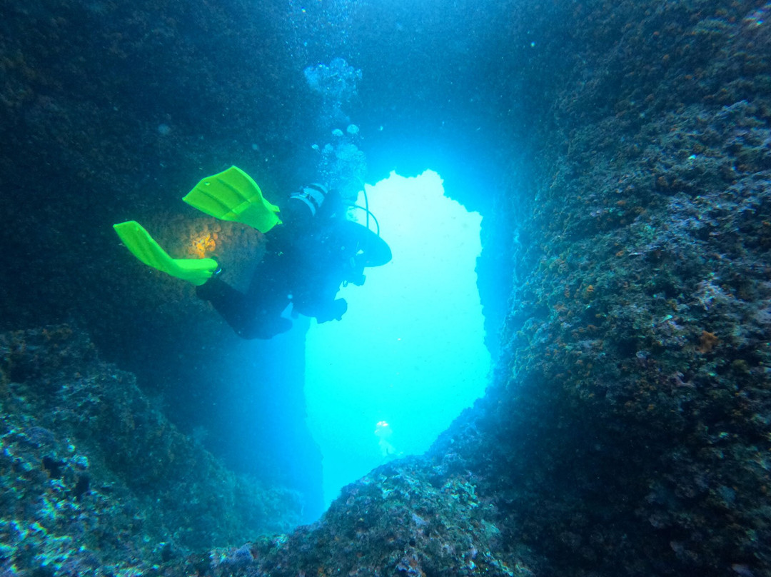 Barracuda diving-Nerano必去景点
