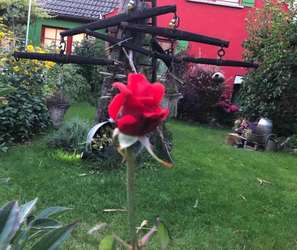 Zur Alten Filmkiste