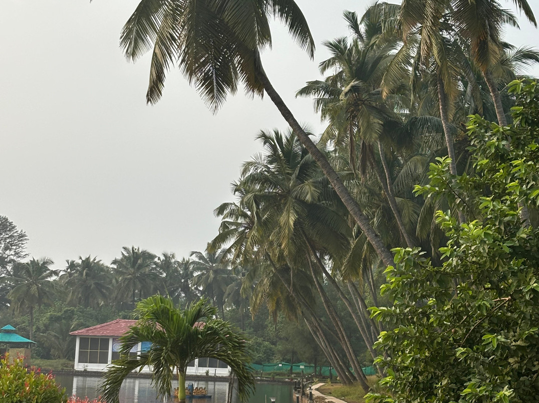 Veda5 Wellness Retreat & Spa主图