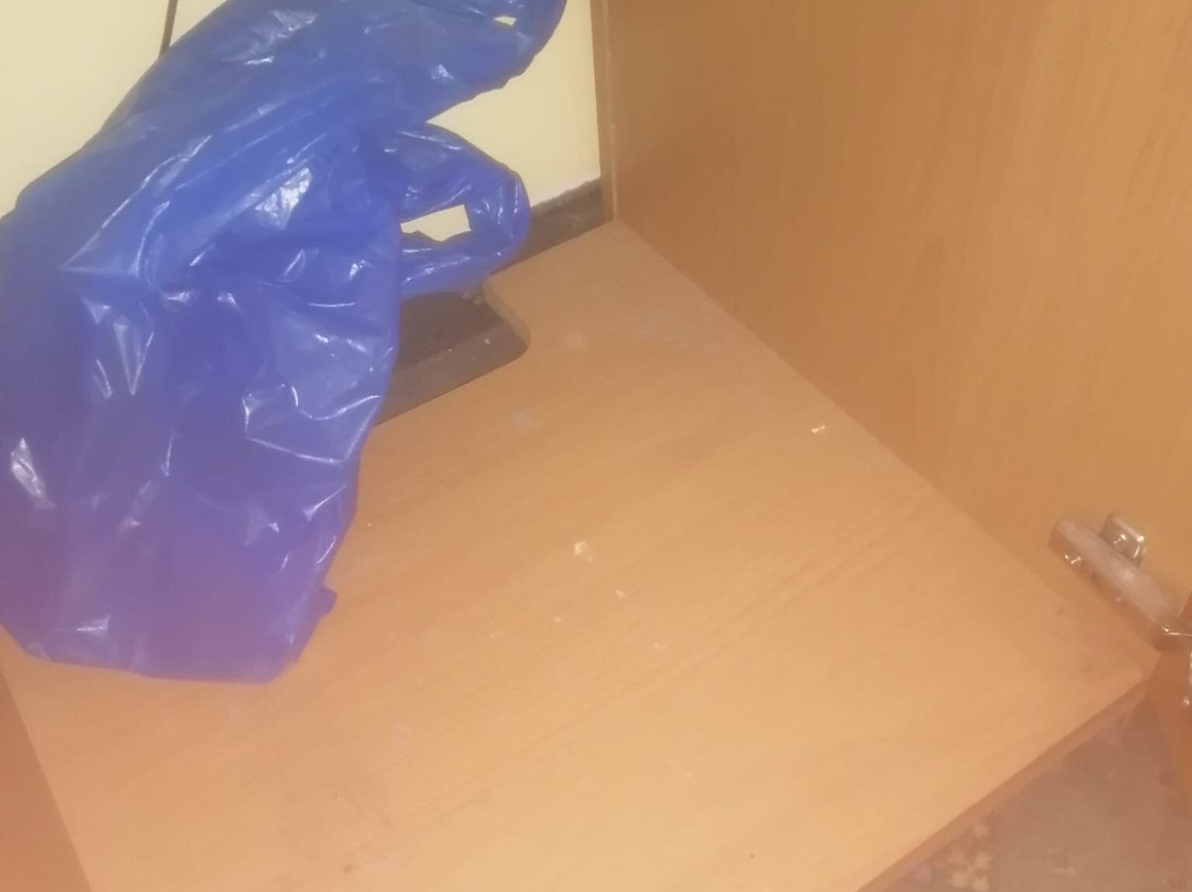 阿斯科特寄宿酒店主图
