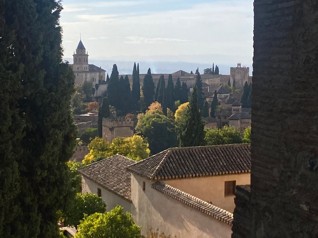 GRANADA SELECTED TOURS SLU-格拉纳达必去景点