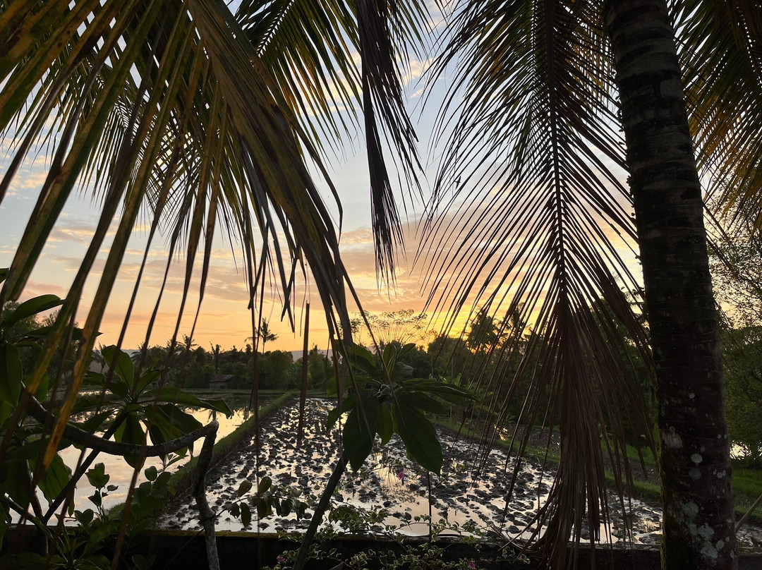 阿特瑞斯别墅假日公园主图