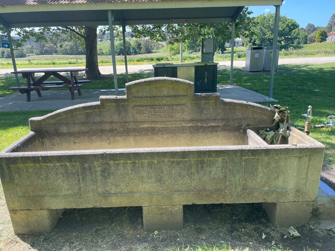 Bruthen's Lion Park-Bruthen必去景点