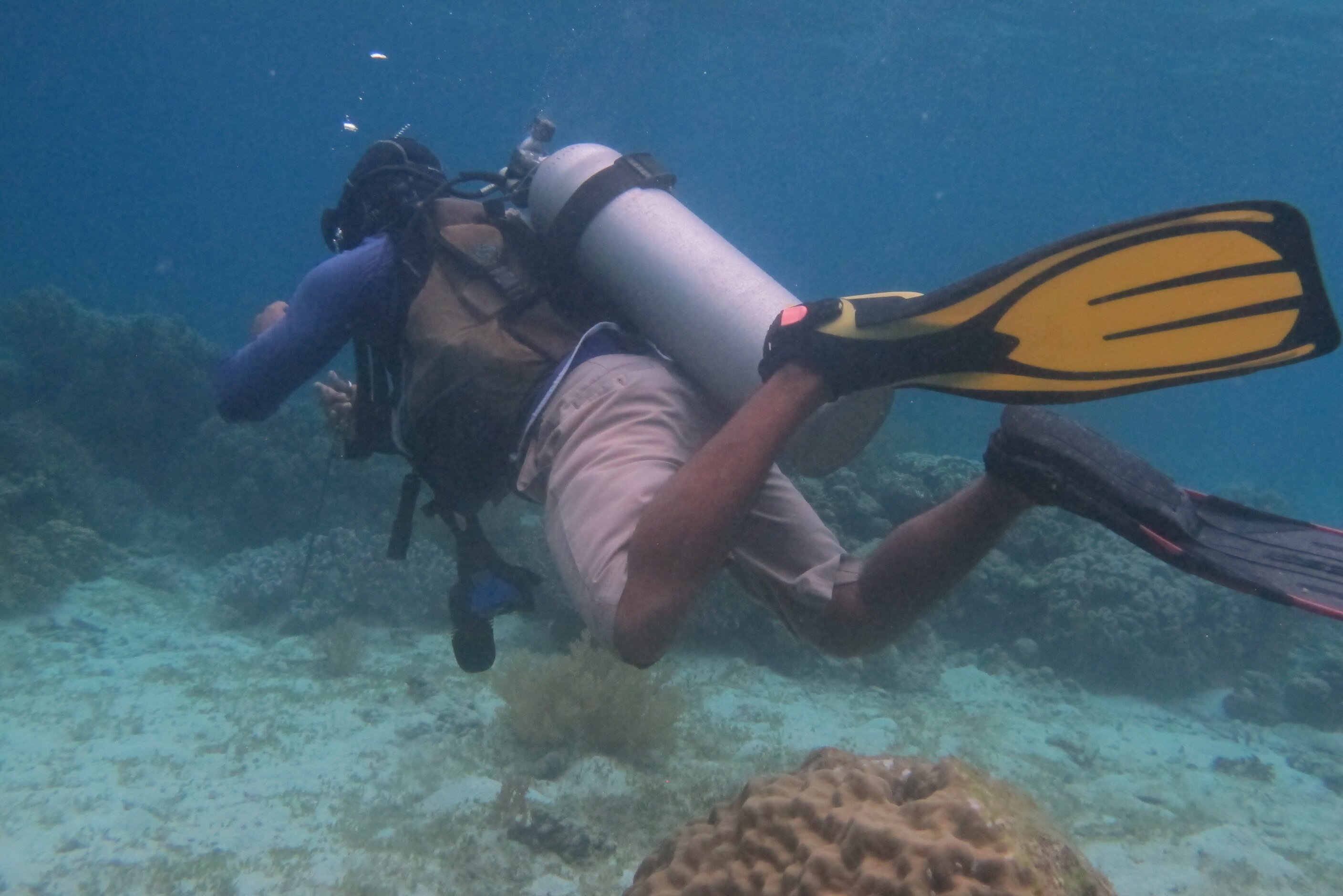 Southern Leyte Divers-家庭/游戏区