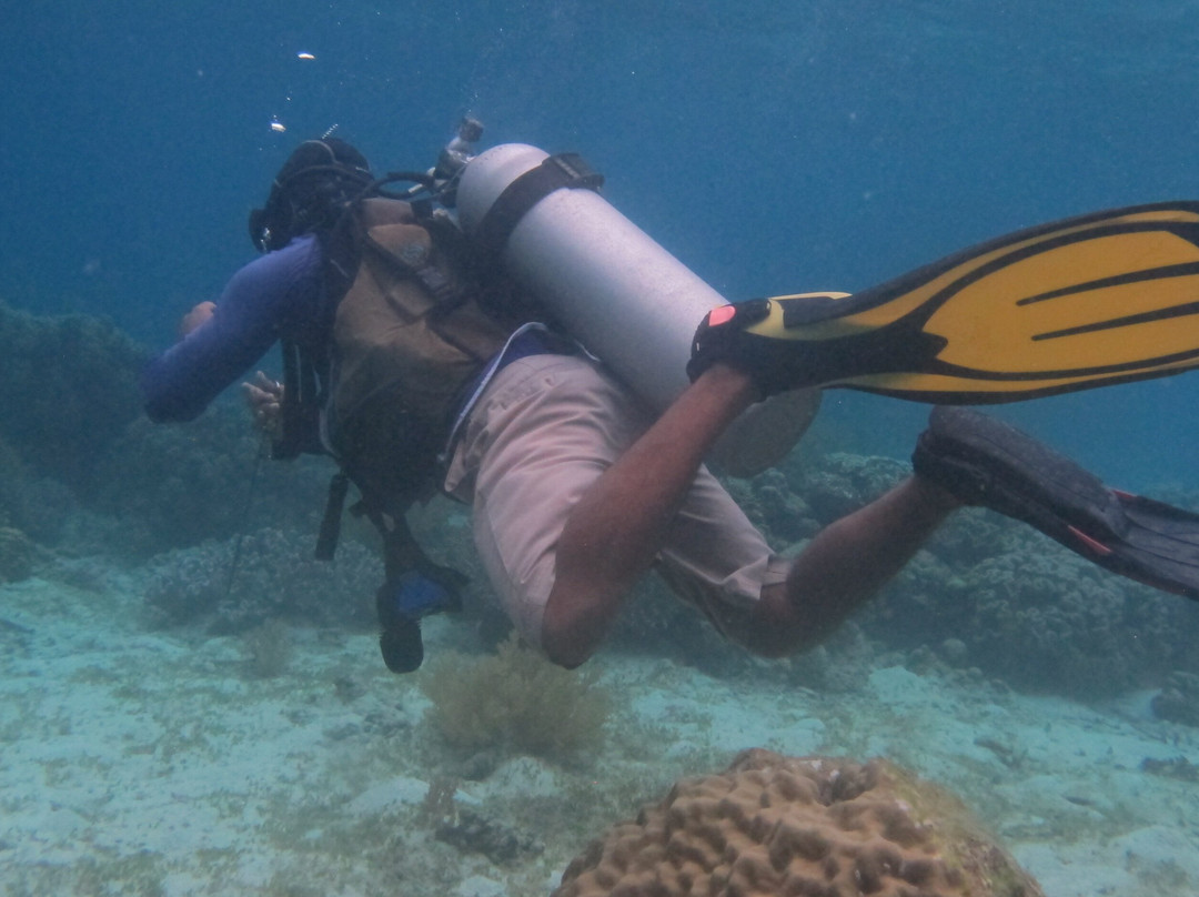 Southern Leyte Divers主图