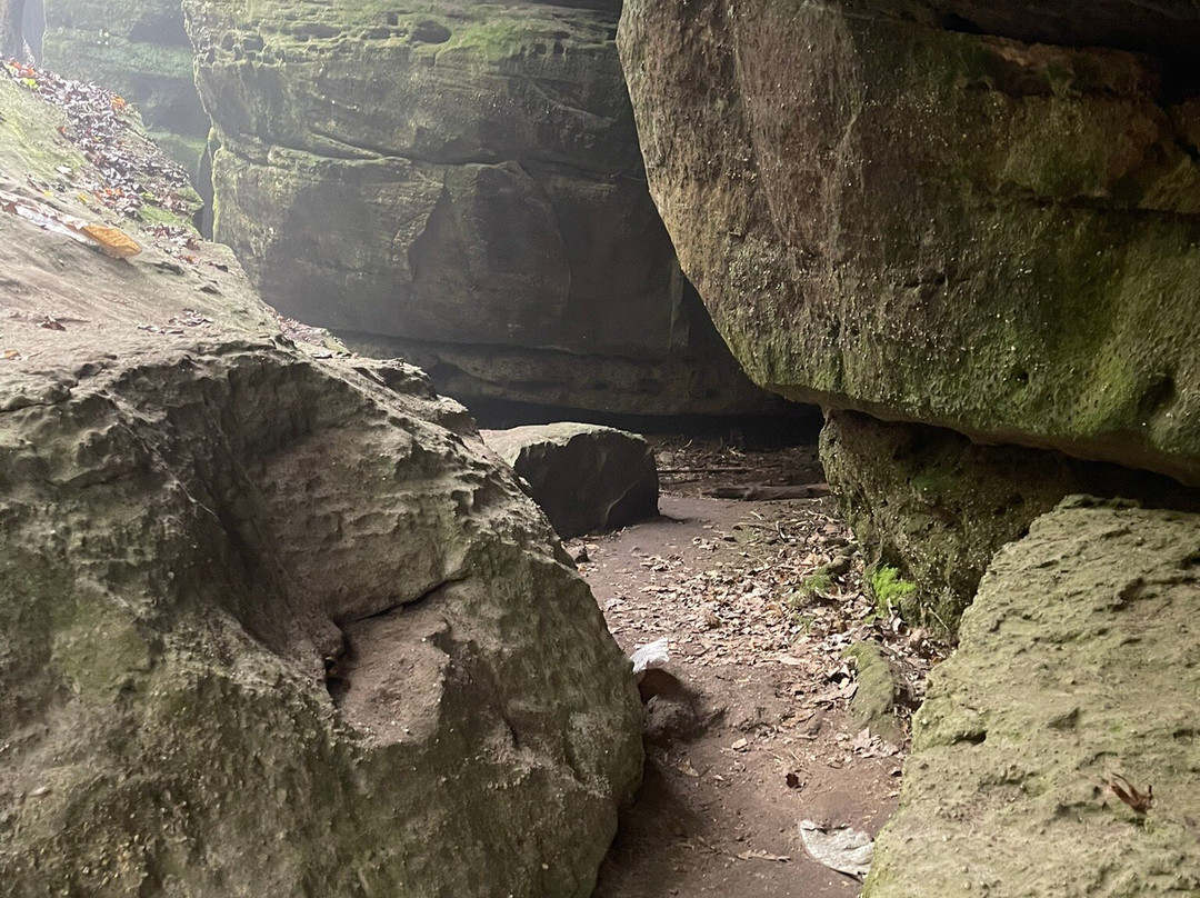 Dismals Canyon景点图片
