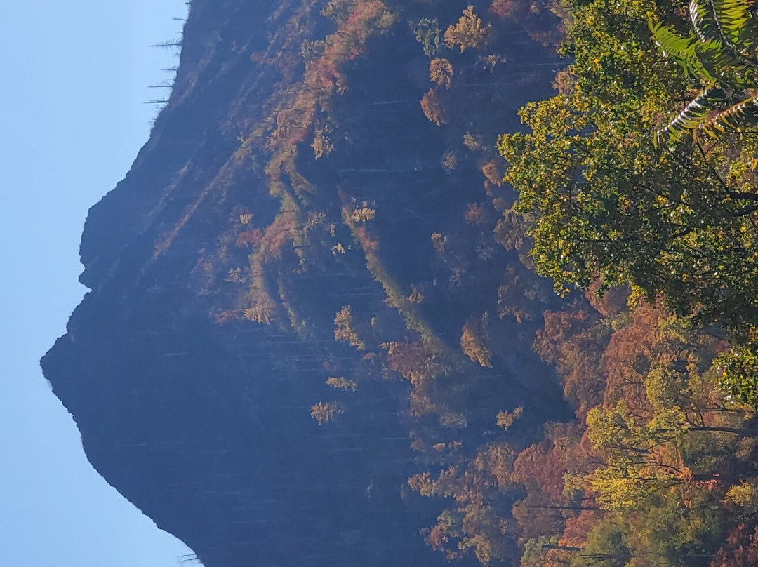 Happy Hippie Lane-盖林柏格必去景点