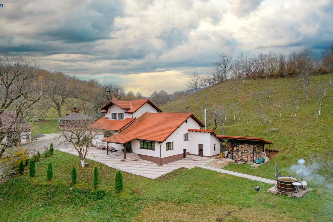 Pensiunea Ioana主图