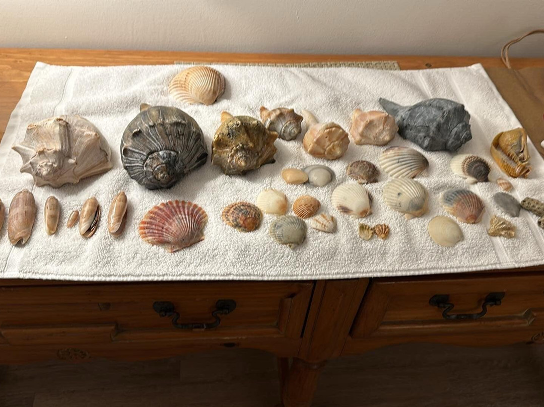 Cape Lookout National Seashore景点图片