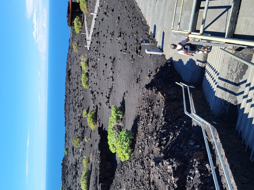 Tubo Volcanico de Todoque景点图片