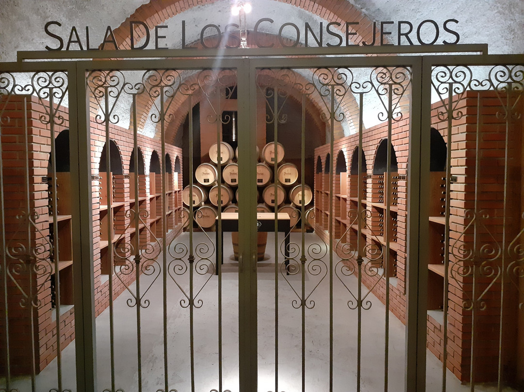 Bodegas Protos景点图片