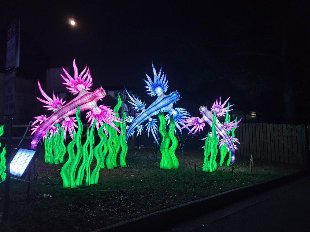 Little Rock Zoo-小石城必去景点