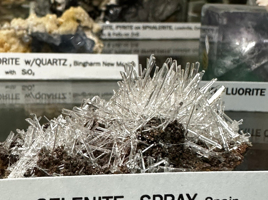 Ben E. Clement Mineral Museum景点图片