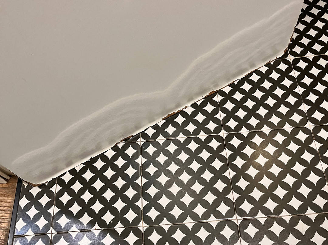 One Shot Reina Victoria主图