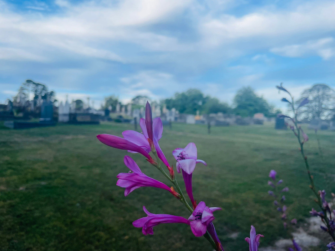 Gisborne Cemetery