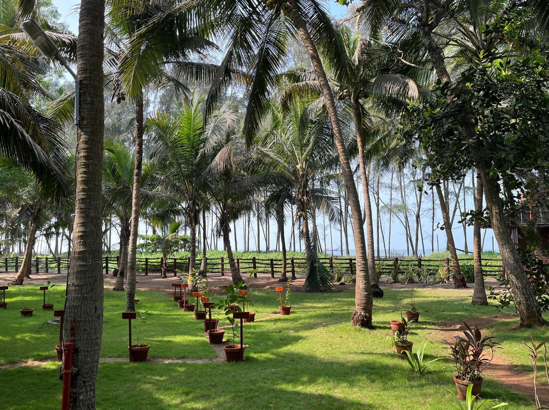The Nattika Beach Resort主图