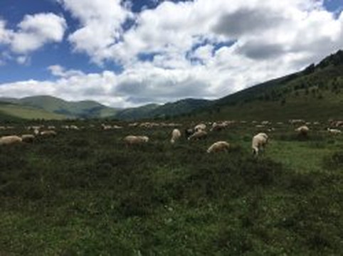 首旅寒舍·坝上伊云