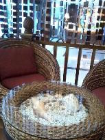 广州邦国酒店（五号停机坪万达广场店）主图