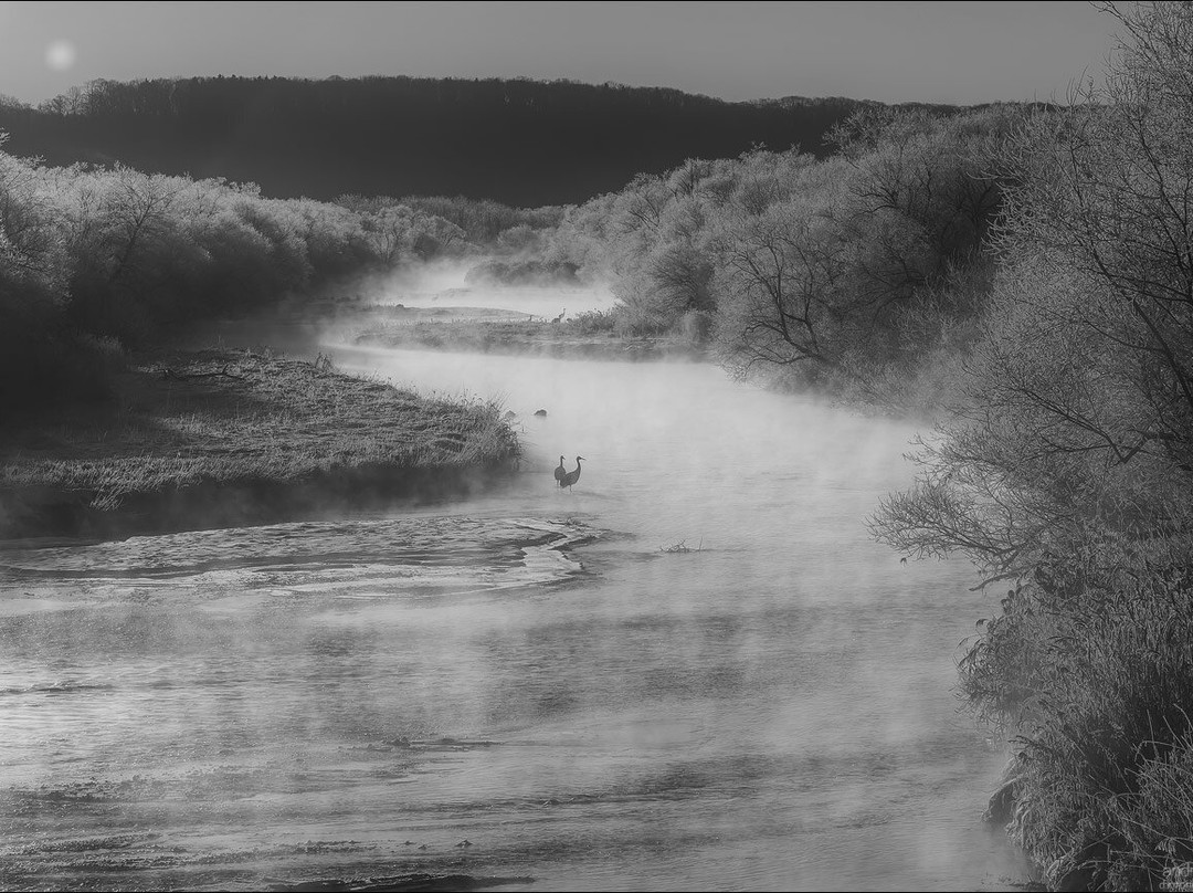 Otowa Bridge-鹤居村必去景点