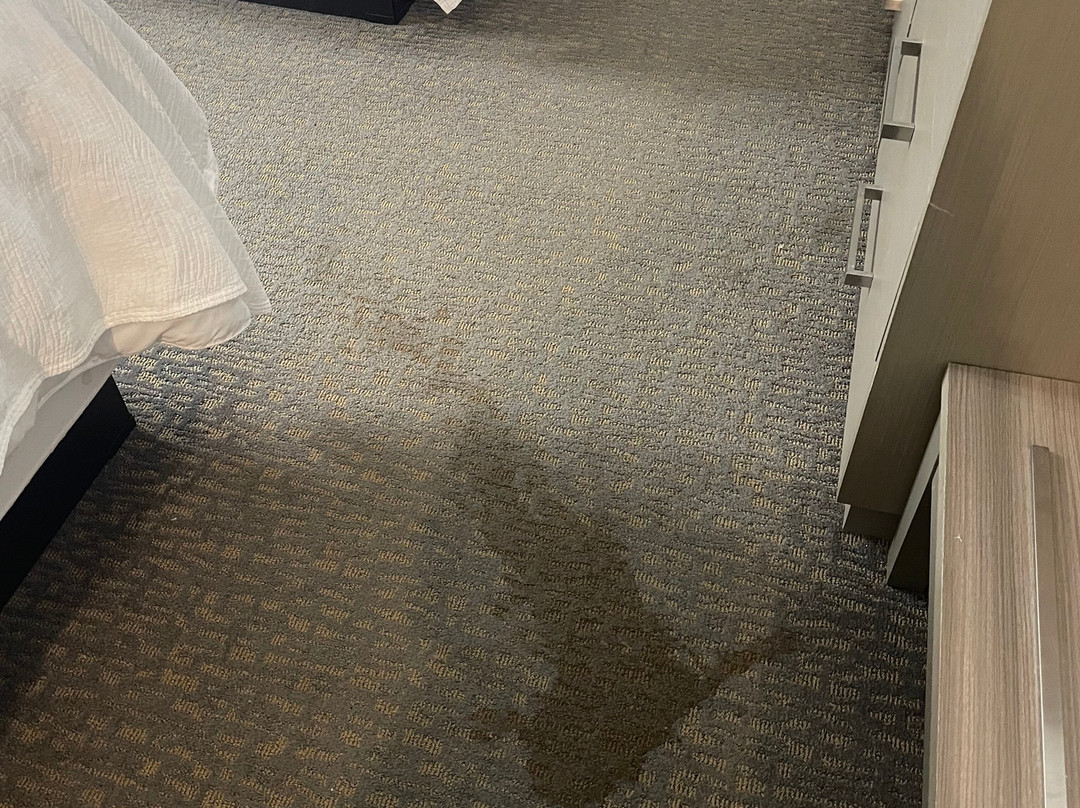 La Quinta Inn & Suites by Wyndham Jackson/Cape Girardeau主图