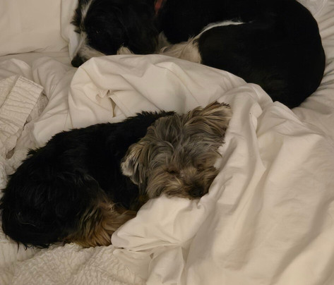 TownePlace Suites by Marriott Ames主图