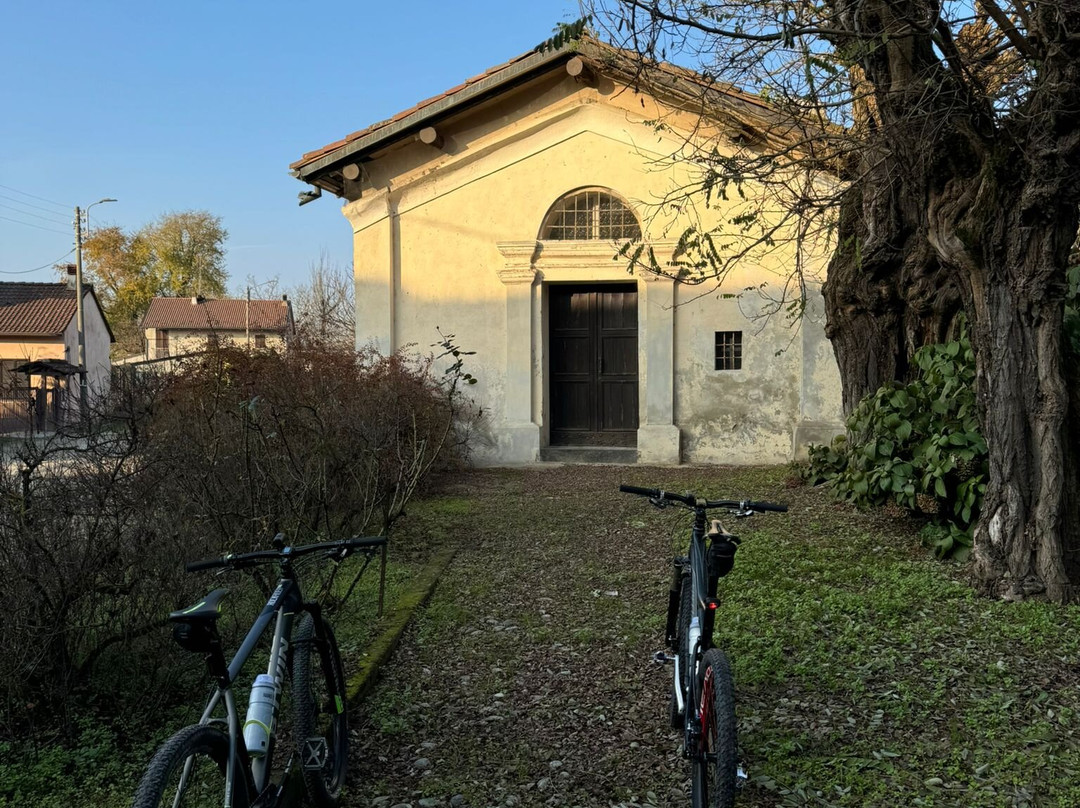 Cascina Medaglia景点图片