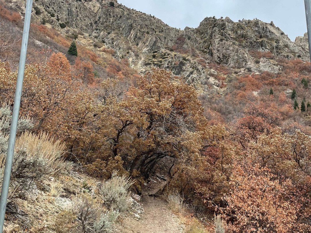 Skyline Trail-奥格登必去景点