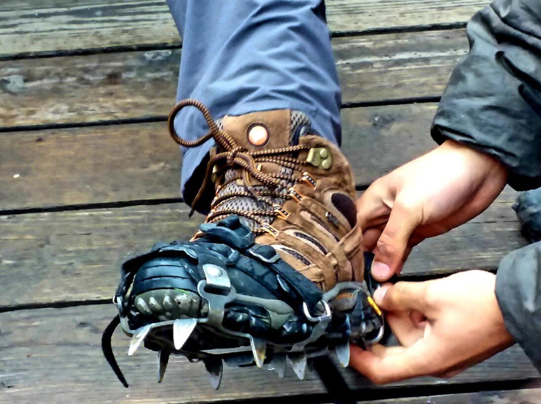 Wrangell-St. Elias National Park & Preserve Visitor Center-朗格－圣伊利亚斯国家公园暨保护区必去景点