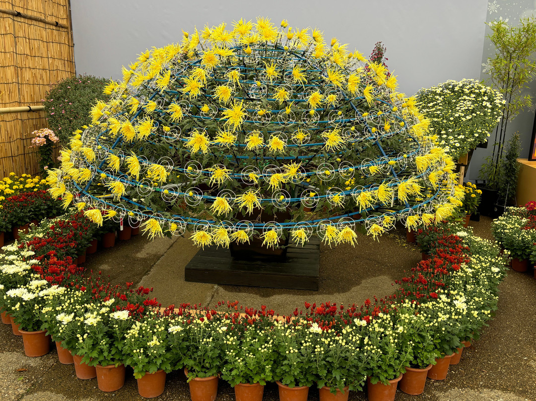 Takefu Chuo Park-越前市必去景点