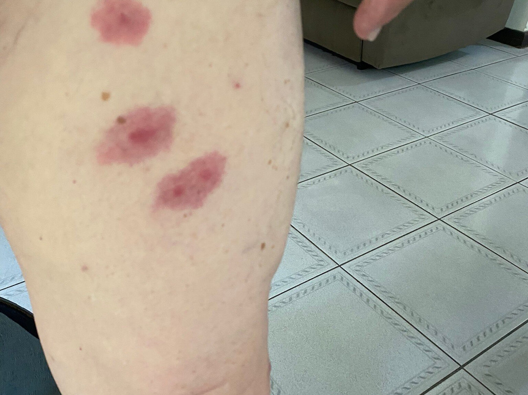 Extended Stay America - Boston - Marlborough主图