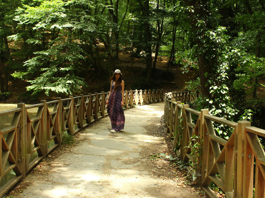 Ataturk Arboretumu-伊斯坦布尔必去景点