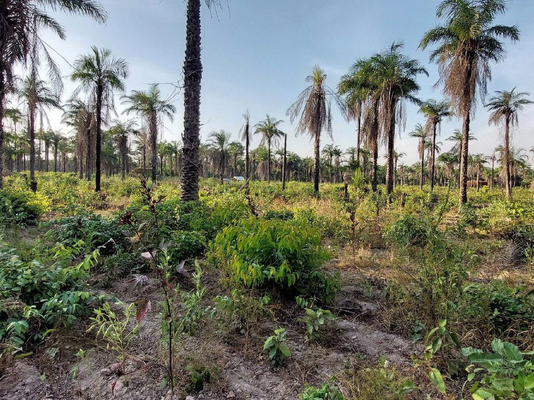 Casamance Vtt景点图片