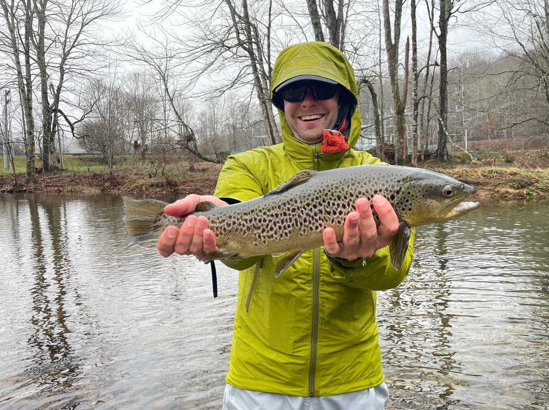 Chetola Sporting Reserve-布恩必去景点
