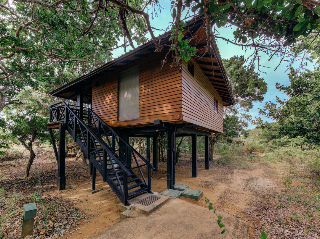 查亚野生亚拉主图