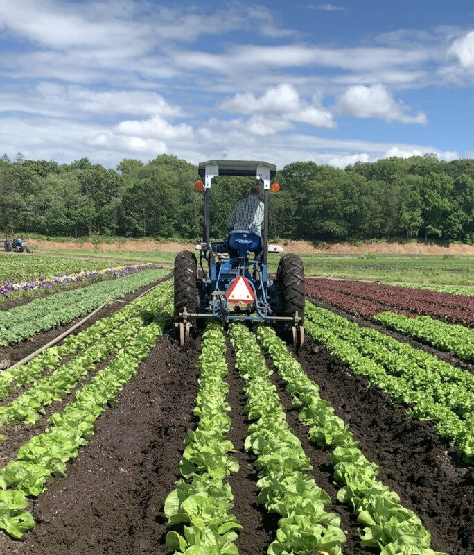 Wilson Farm-列克星敦必去景点