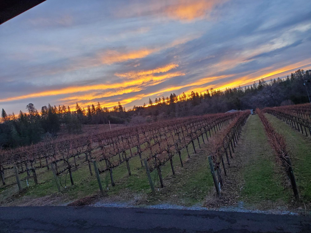 Golden Leaves Vineyard & Winery-Somerset必去景点