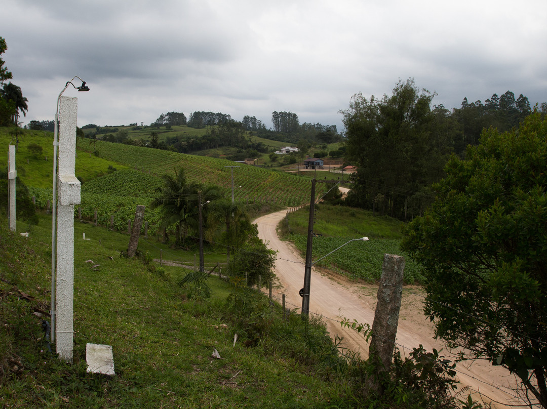 Igreja Nossa Senhora Das Graças景点图片