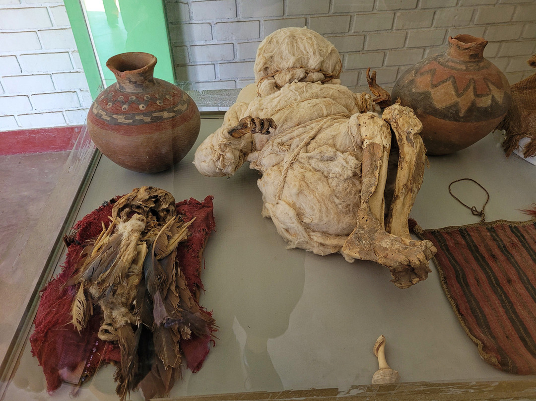 Cementerio Chauchilla-纳斯卡必去景点