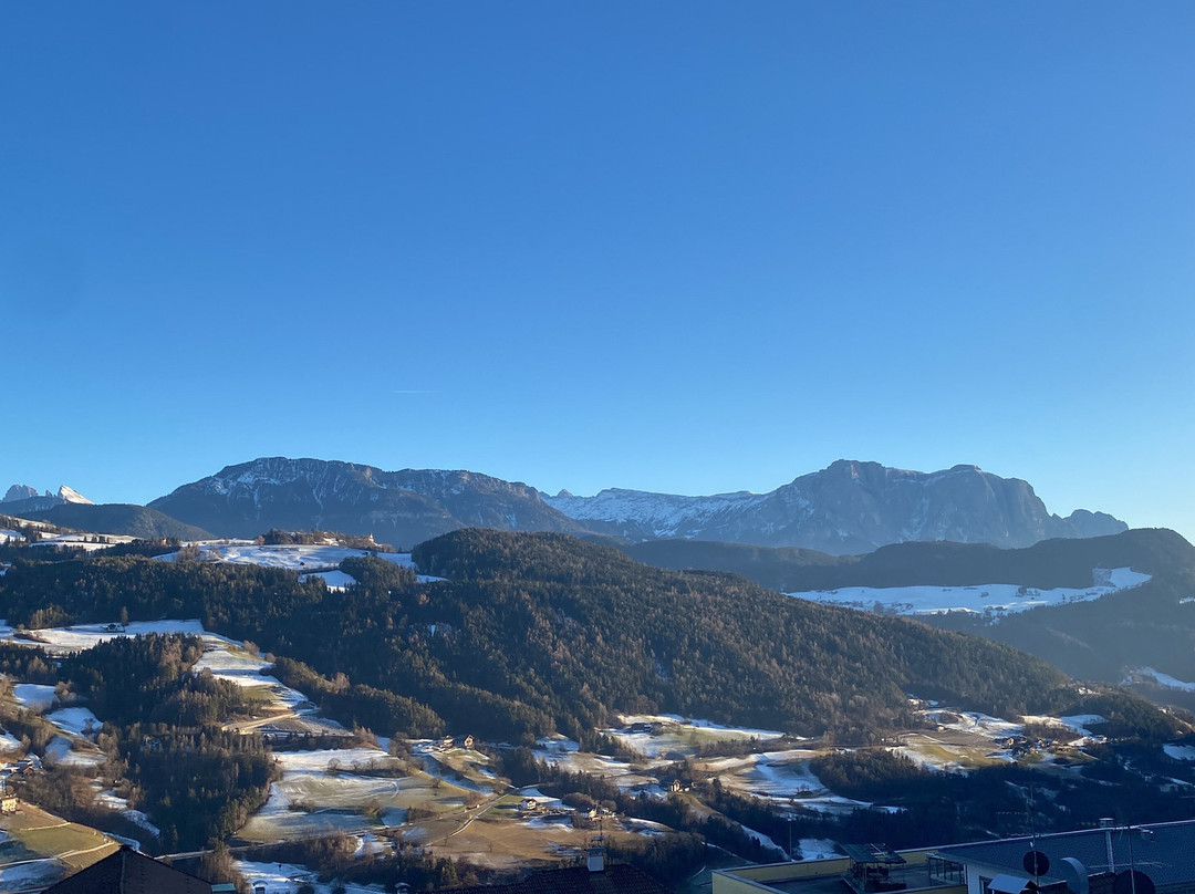 Panorama Hotel Flora主图