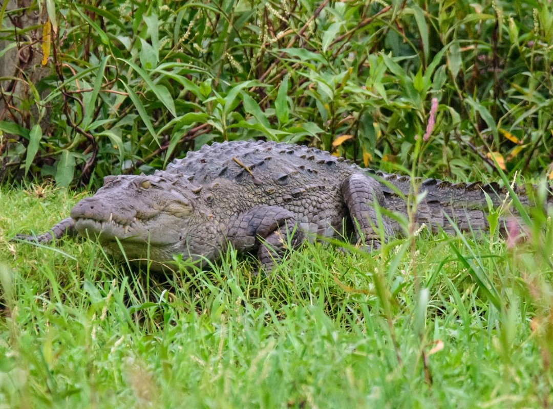 湖景小屋别墅主图