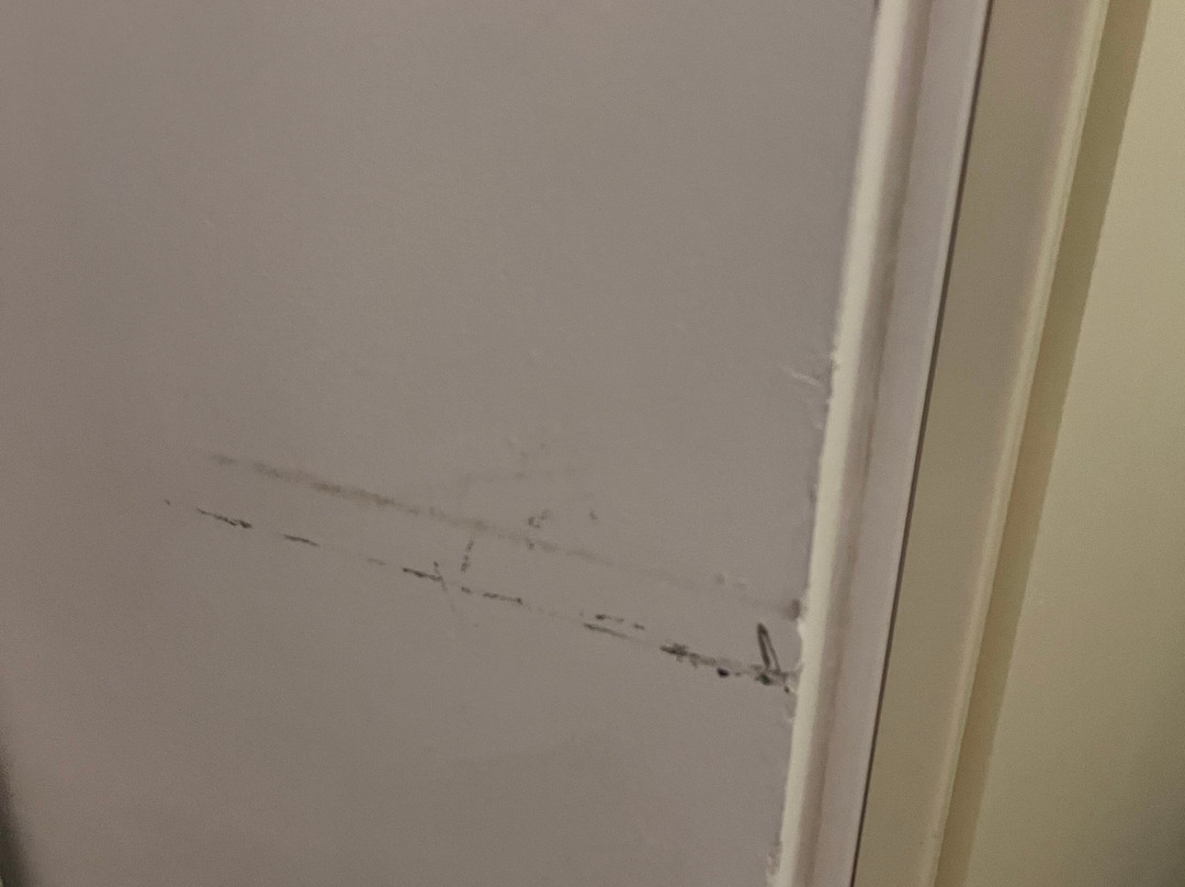 艾尔伯格帕拉堤索苏拉戈酒店主图