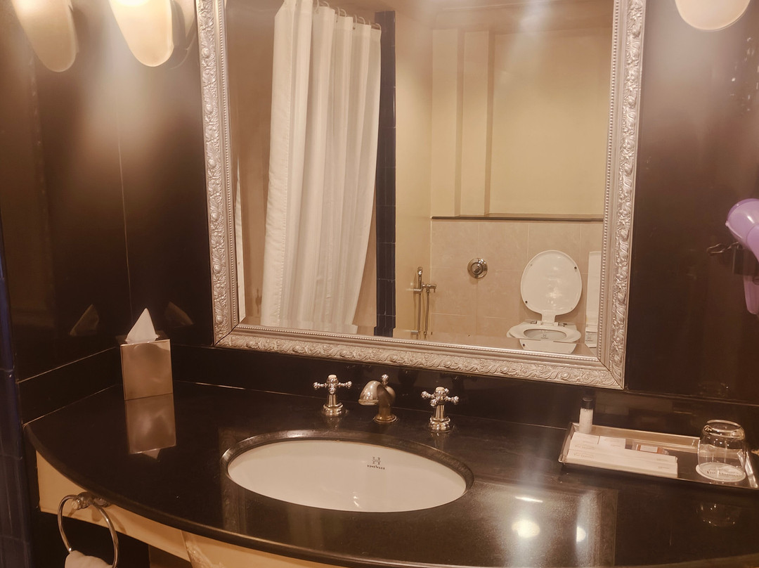 焦特布尔港威酒店主图