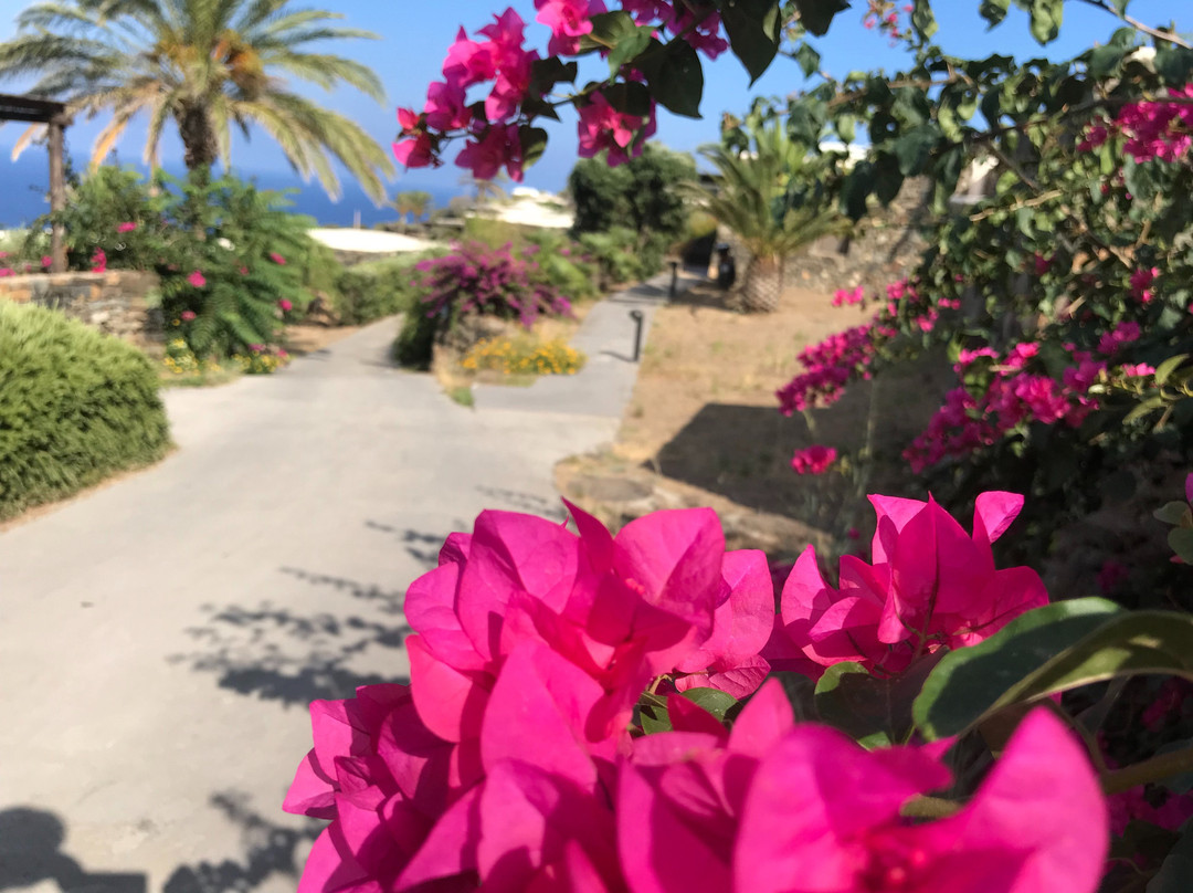 Pantelleria Dream Resort主图