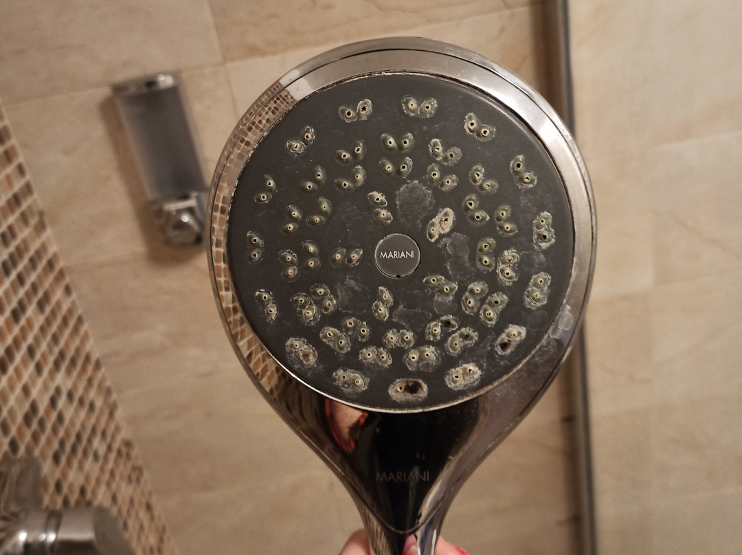 B&B San Domenico主图