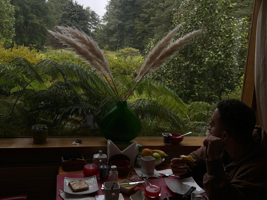 Hotel Posada del Rio - Parque Metrenehue主图