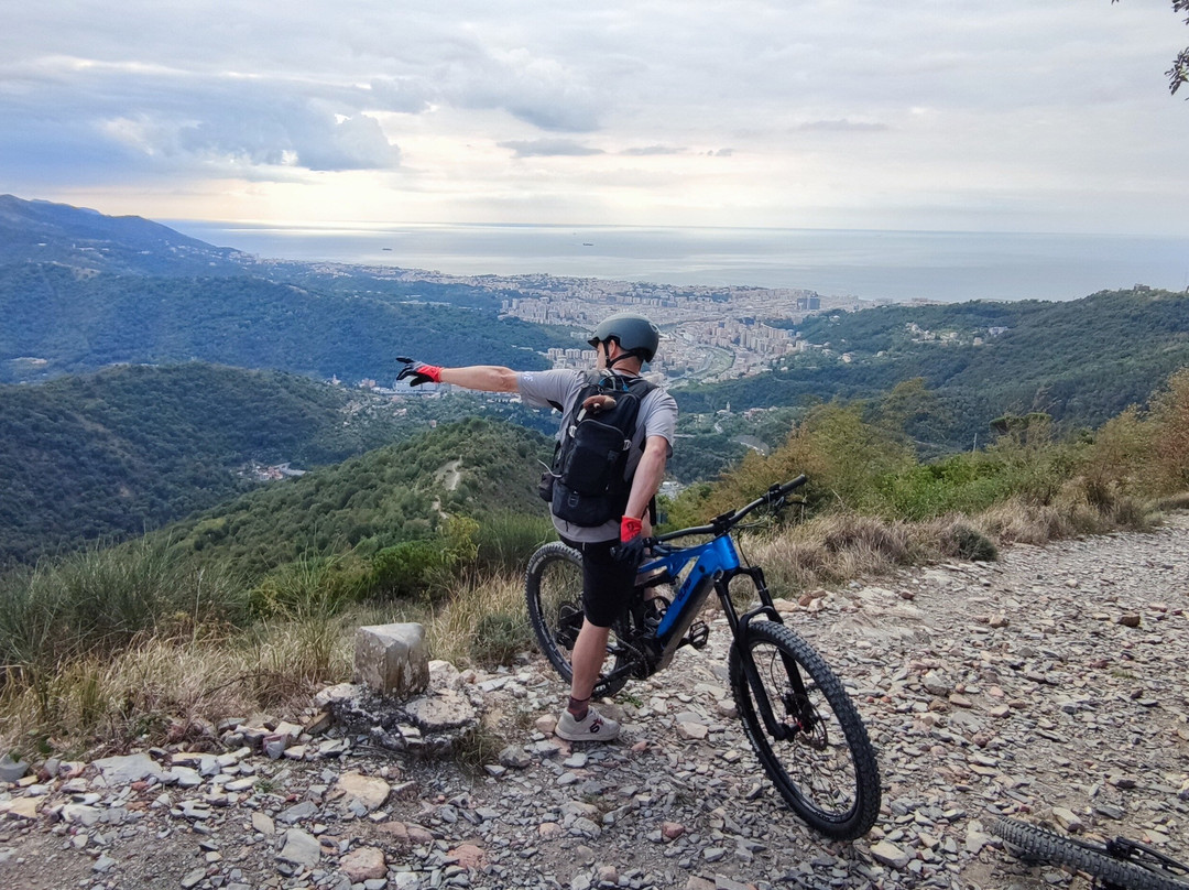 seifuori s.r.l.-热那亚必去景点