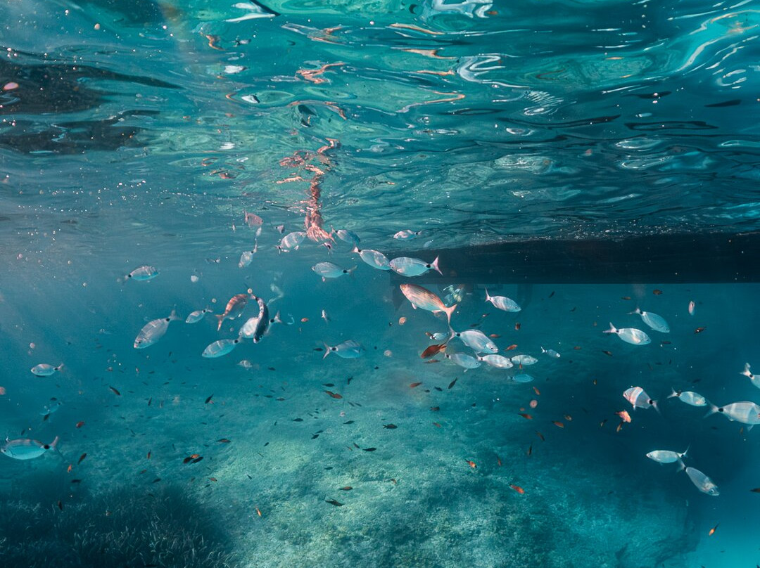 Skualo Dive Center-克里斯托港必去景点