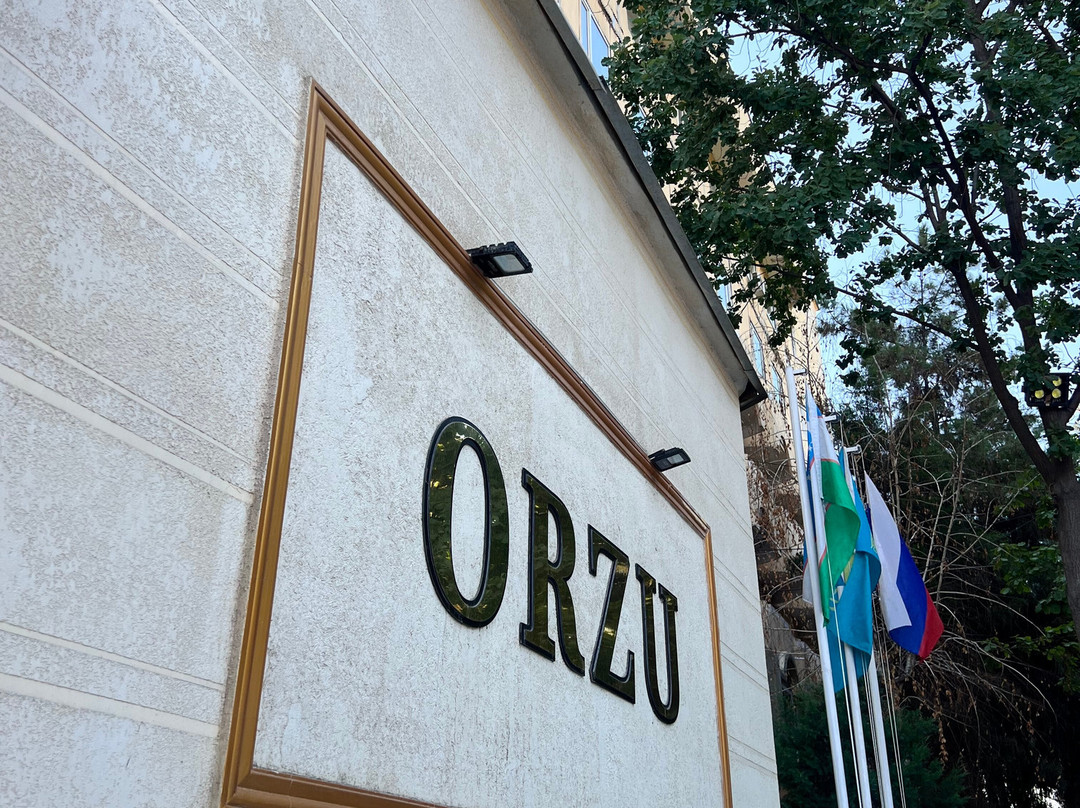 Orzu Hotel主图