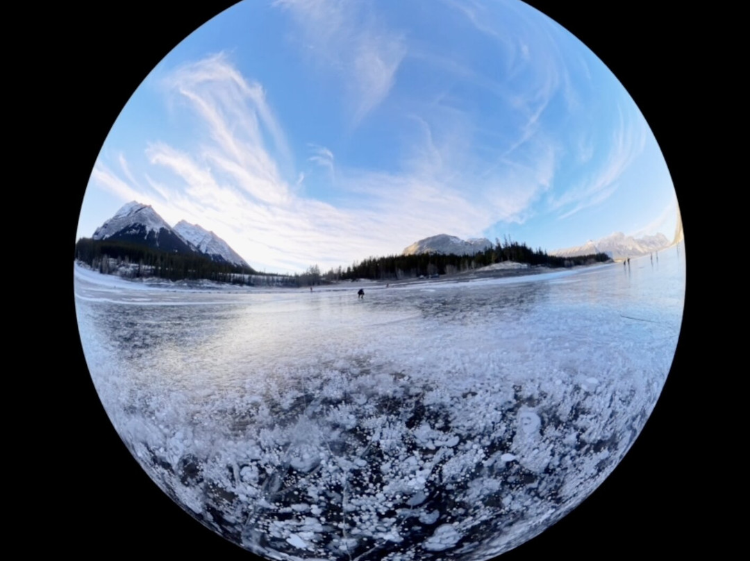 Abraham Lake景点图片